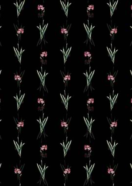 Floral Corn Lily Pattern
