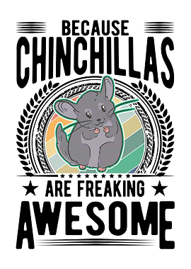 Chinchilla Lover