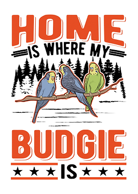 Bugdie Parakeet Cockatiel