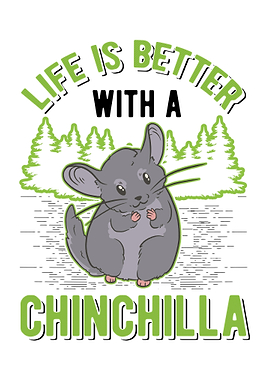 Chinchilla Lover
