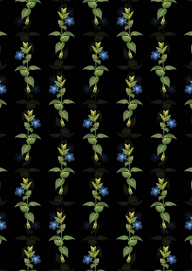 Greater Periwinkle Flower