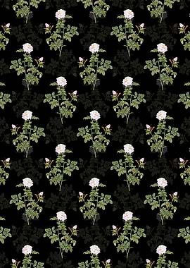 Pink Rosebush Pattern