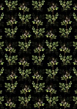 Andromeda Mariana Branch