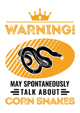 Corn Snake