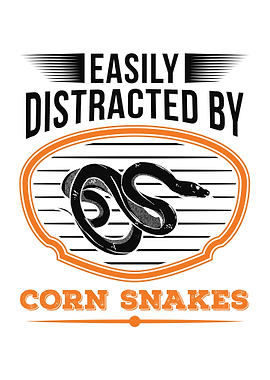 Corn Snake