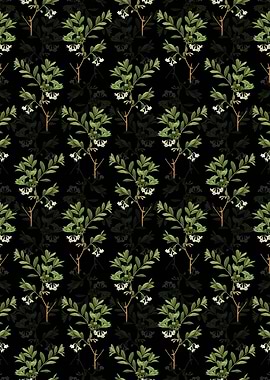 White Honeysuckle Plant