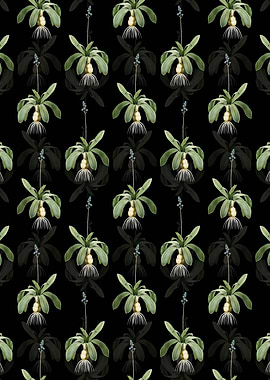 Scilla Lilio Hyacinthus