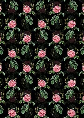 Pink Wild Rose Pattern