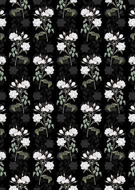 Floral White Rose Pattern