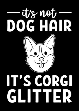 Funny Corgi Hair