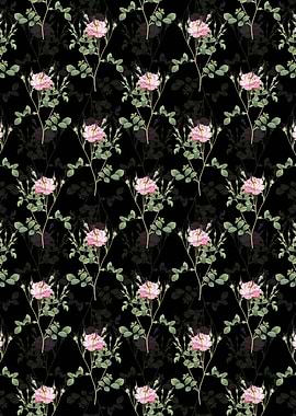 Anemone Sweetbriar Rose