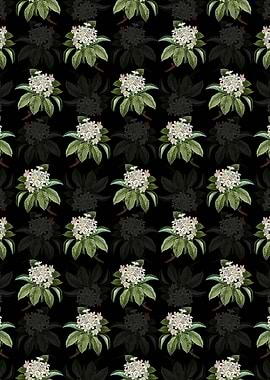Floral Shipova Pattern