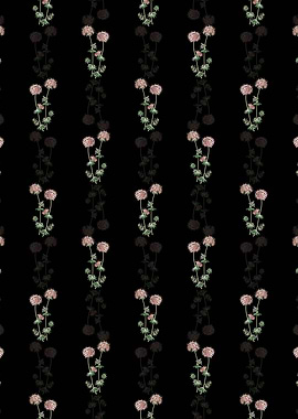 Crucianella Flower Branch