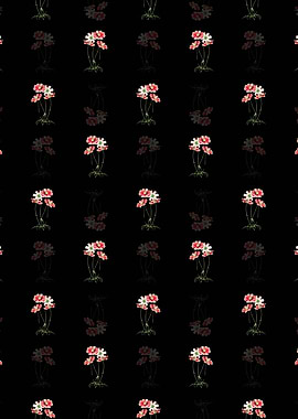 Fine Leaf Cosmus Flower