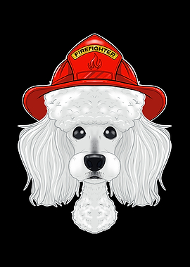 Canine Handler I Fireman