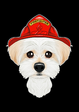 Canine Handler I Fireman