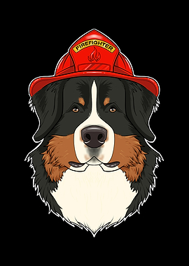 Bernese Mountain Dog