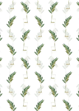 Angular Solomons Seal