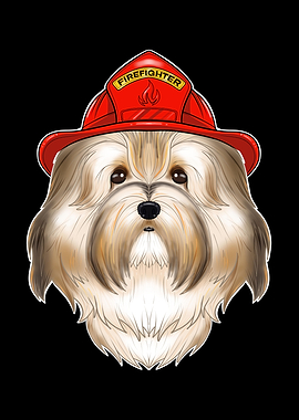 Firefighter Havanese