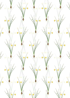 Floral Daffodil Pattern