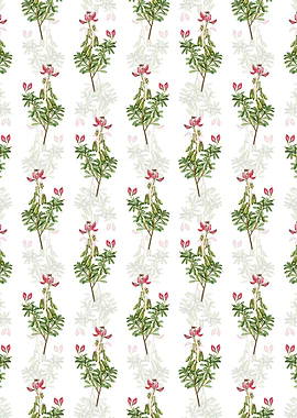 Floral Restharrows Pattern
