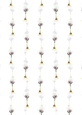 Crocus Sativus Pattern