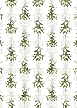 Floral Wild Privet Pattern