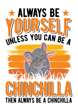 Chinchilla Lover
