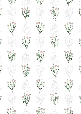 Dr Gills Selago Flower