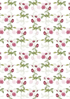 Floral China Rose Pattern