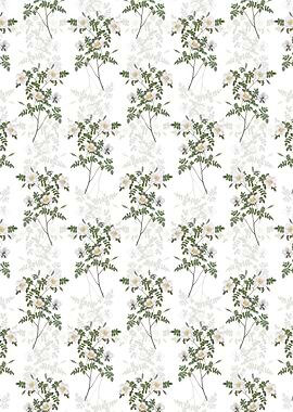 White Candolles Rose