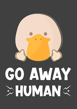 Duck Gift With Funny