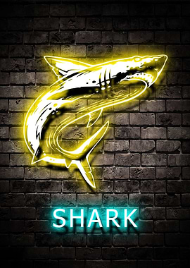 Shark Animal