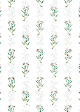 Long Branched Enothera