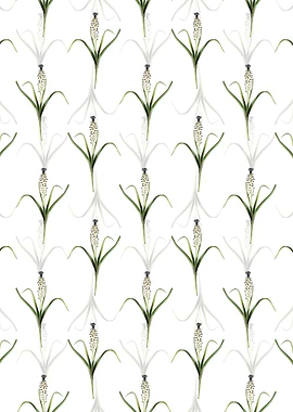 Grape Hyacinth Pattern