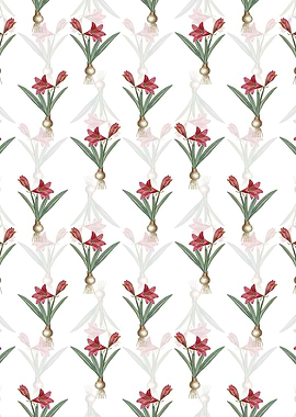 Floral Hippeastrum Pattern