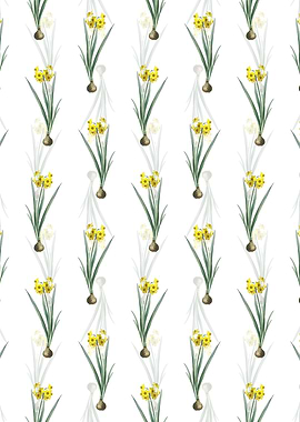 Floral Daffodil Pattern