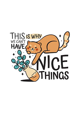 This is why we cant have