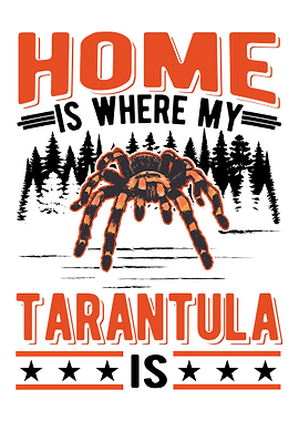Tarantula Spider