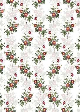 Floral Alpine Rose Pattern