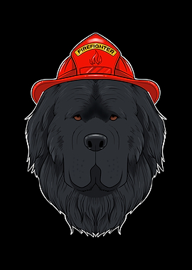 Canine Handler I Fireman