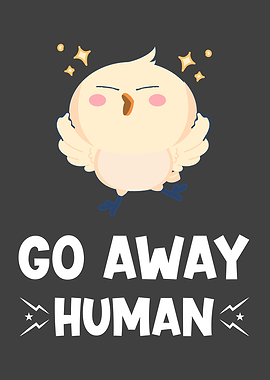 Chicken Gift With Funny