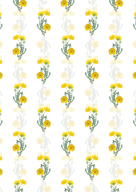 Long Stalked Ledocarpum