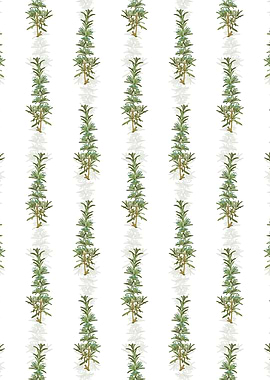 Floral Rosemary Pattern