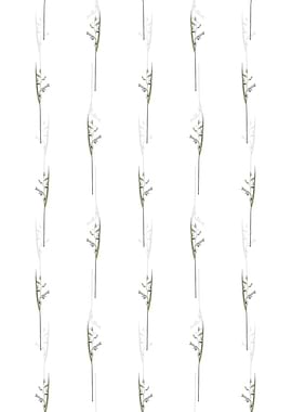 Powdery Alligator Flag