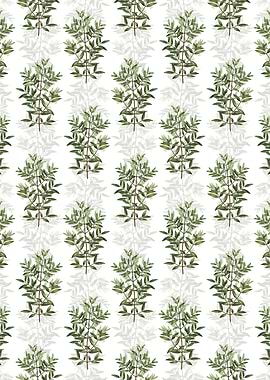 Phillyrea Tree Branch