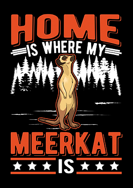 Meerkat Gift Suricate
