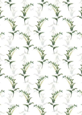 Solomons Seal Pattern