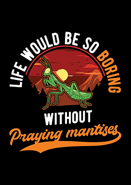 Praying Mantis