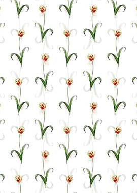 Didiers Tulip Pattern